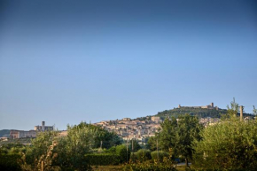Da Carla Santa Maria Degli Angeli